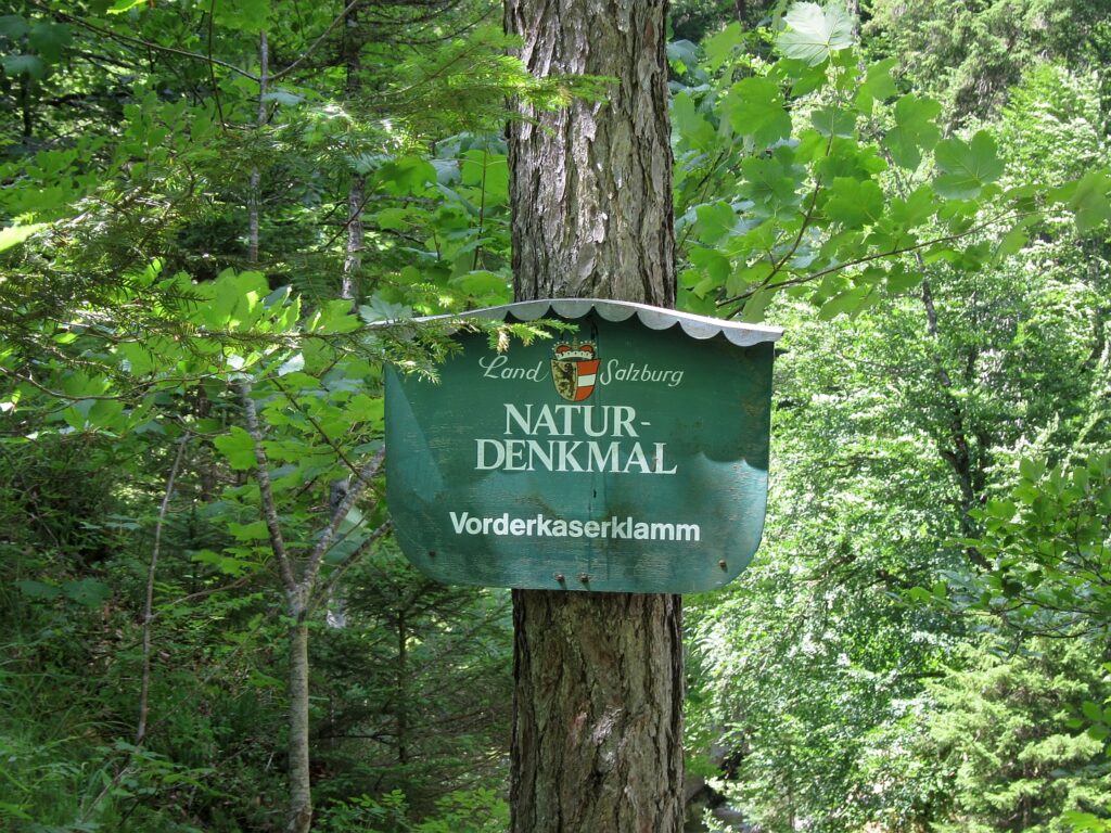 Vorderkaserklamm